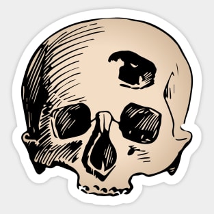 Human skull with bullet hole Sticker